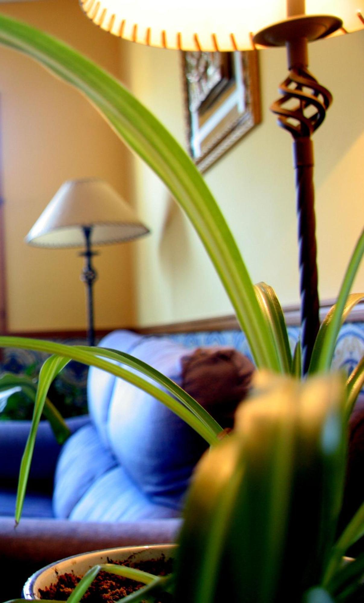 Hostal Casa Barranco Castejón del Puente Eksteriør bilde